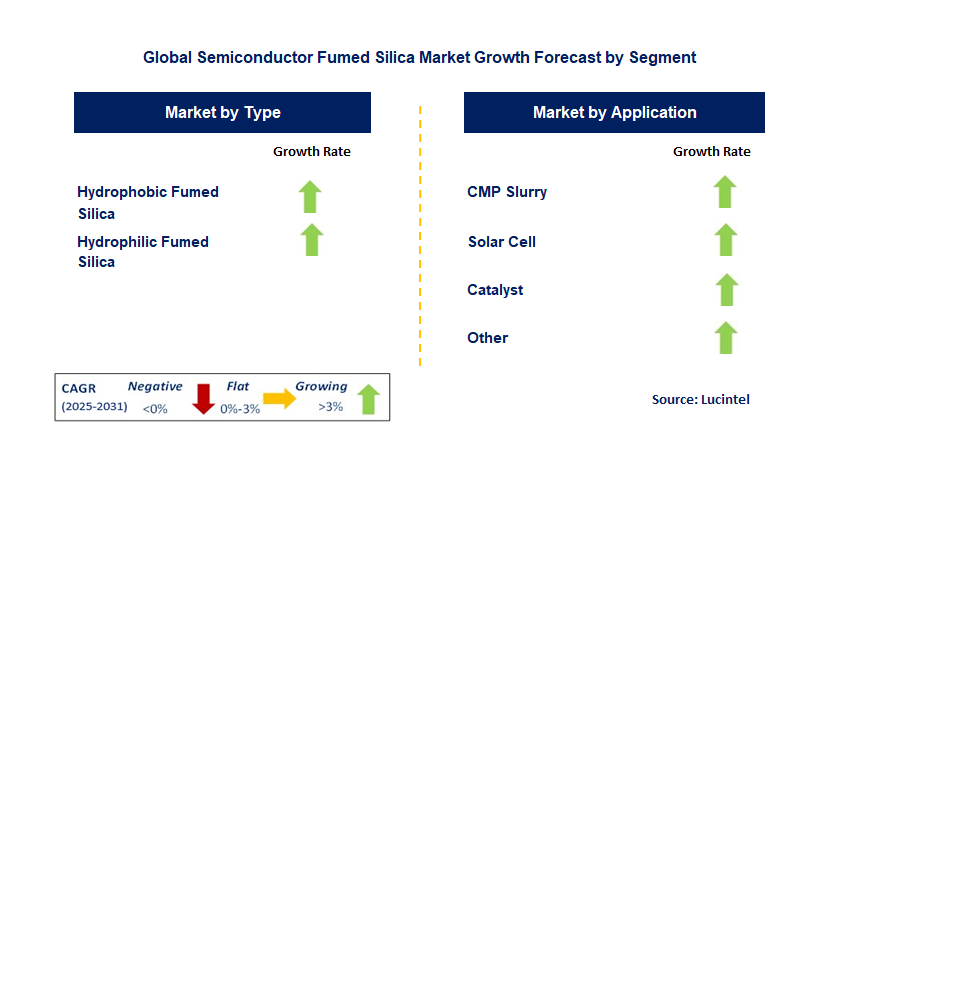 Semiconductor Fumed Silica Market by Segment